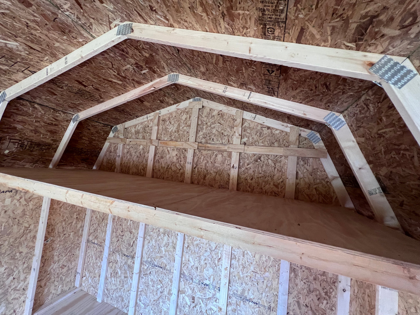 12x16 10' Pro Series