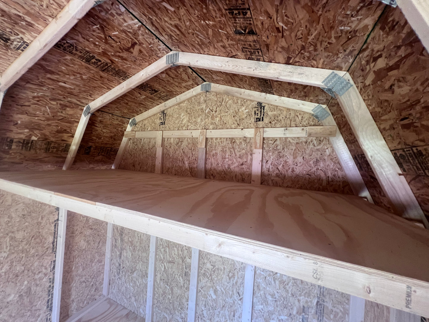 10x12 10' Painted Pro Series - QP1086