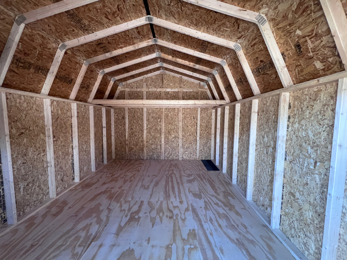 12x16 10' Painted Pro Series