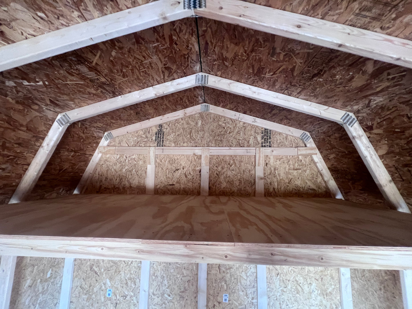10x12 10' Painted Pro Series - QP21