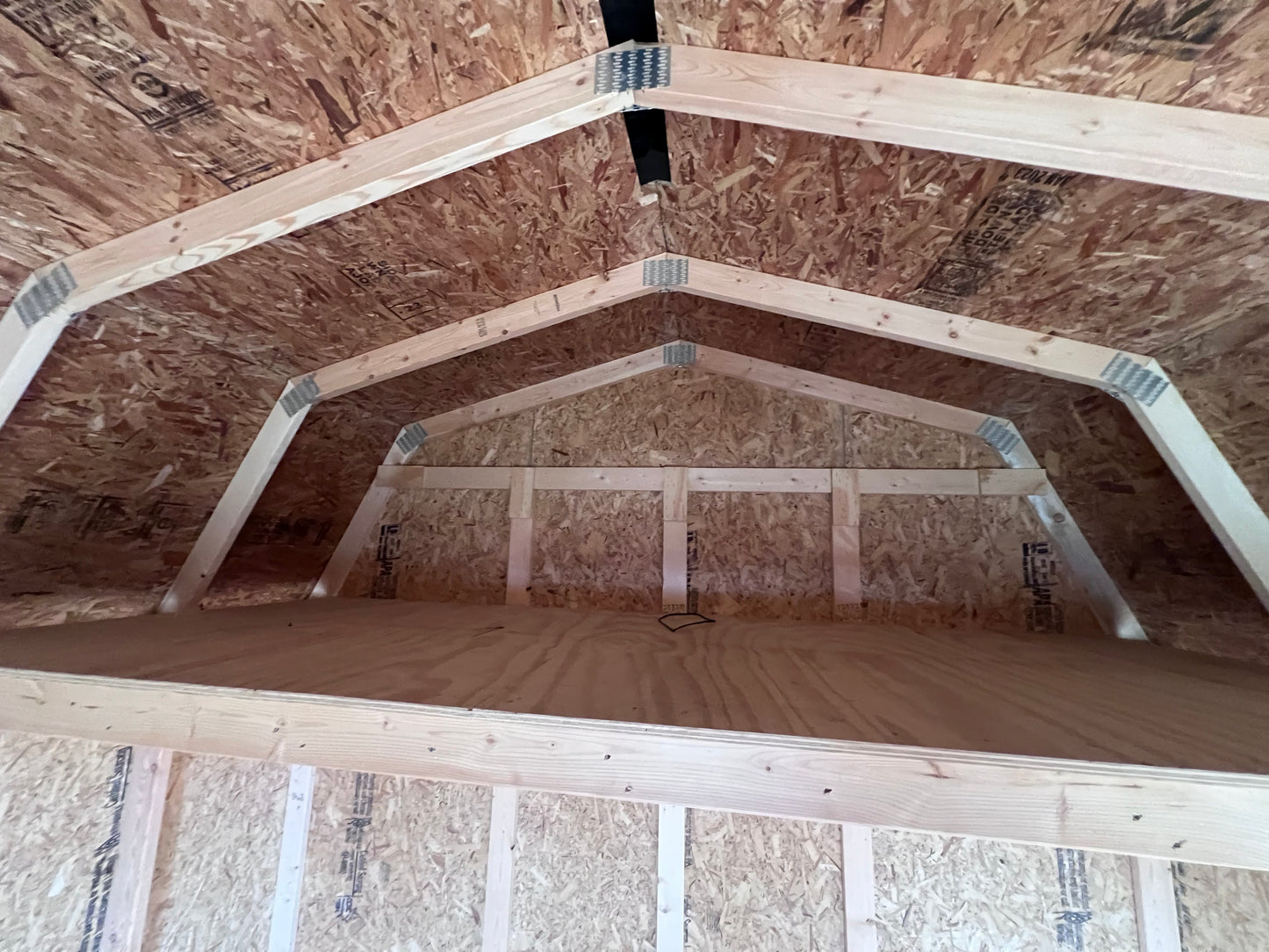 10x10 10' Painted Pro Series - Rental Return