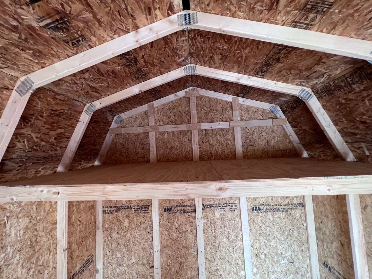 10x12 10' Painted Pro Series - Rental Return