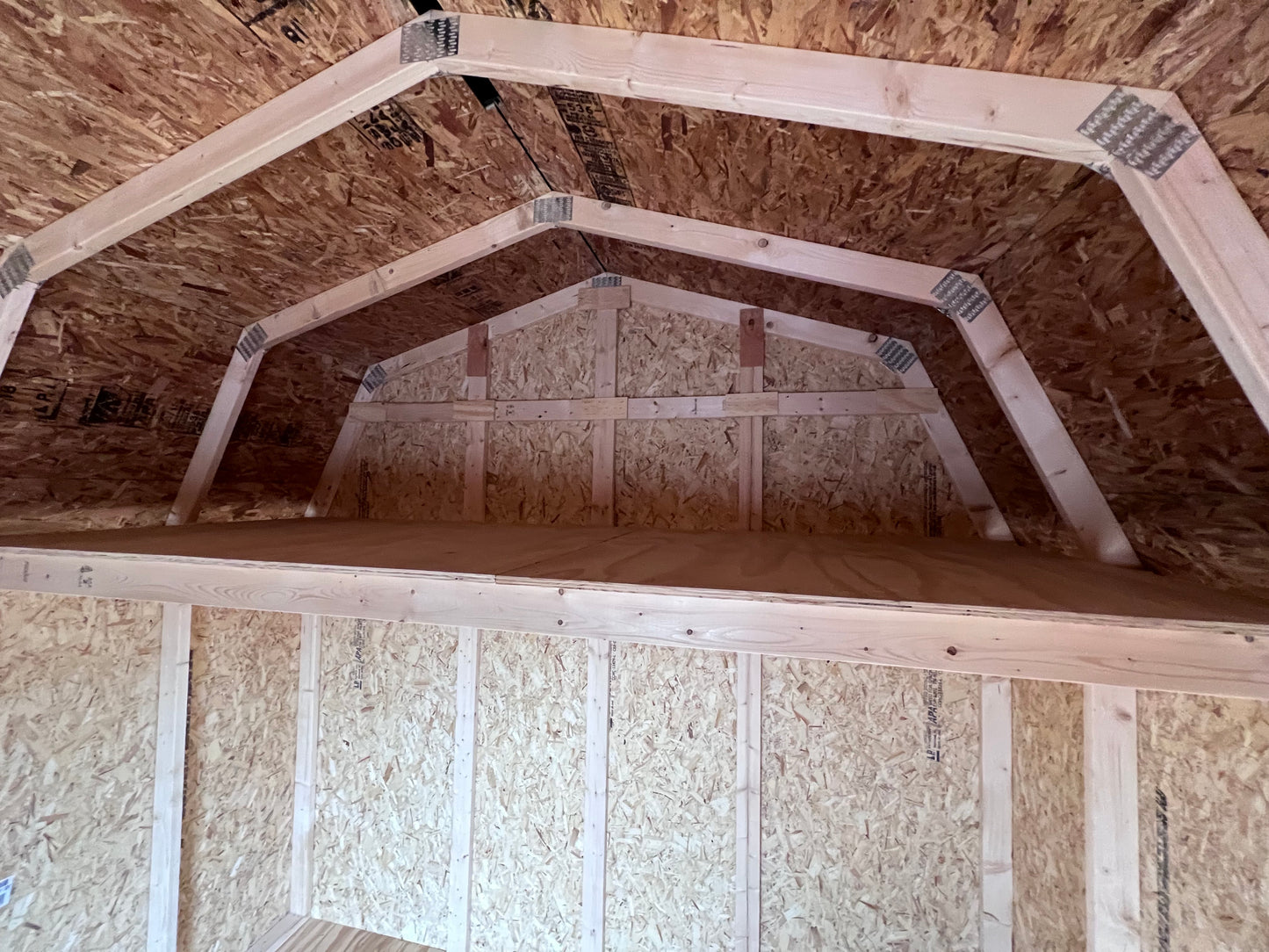 10x10 10' Painted Pro Series - QP509