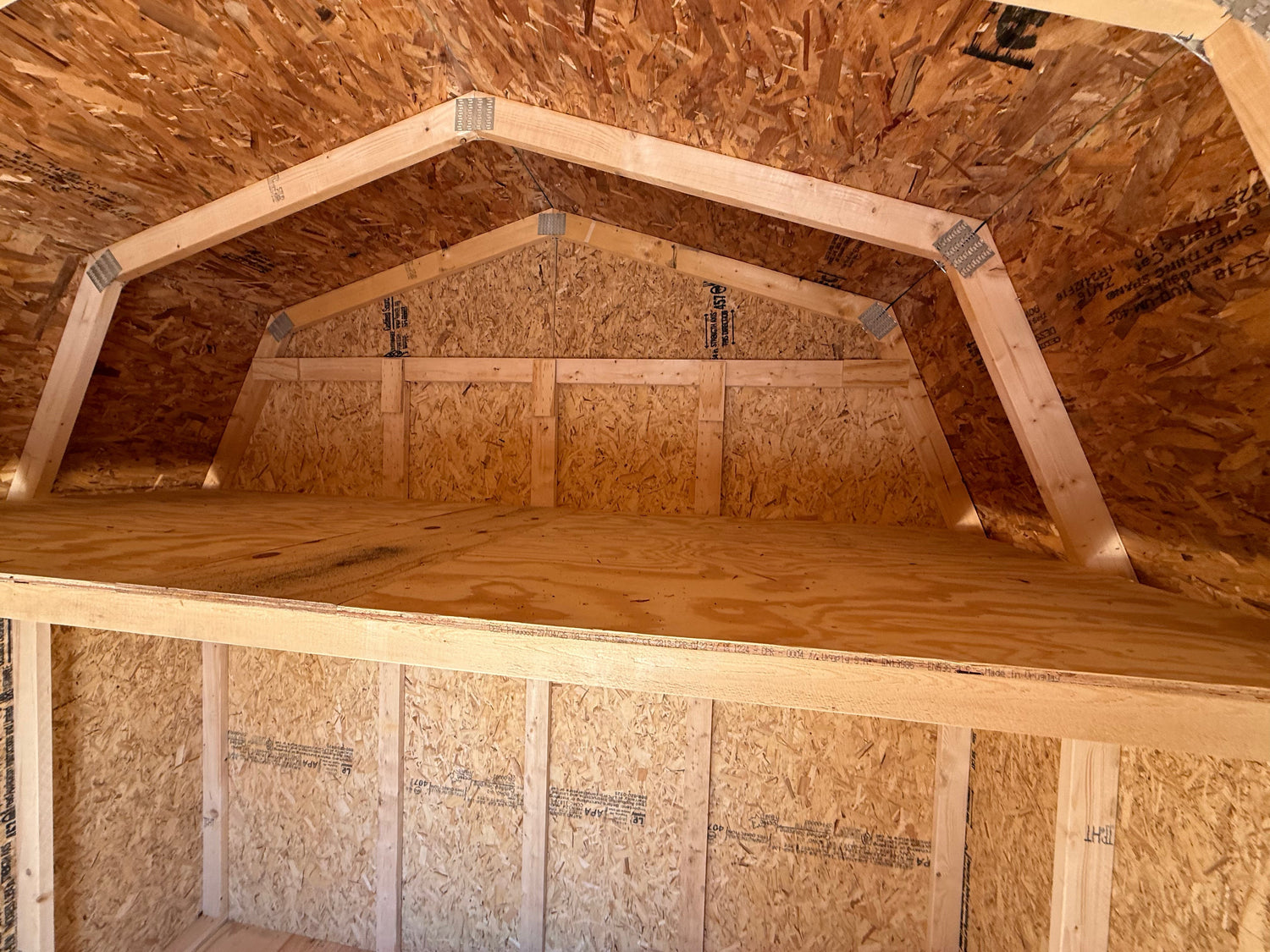 10x10 10' Painted Pro Series - Cedar Springs Lot