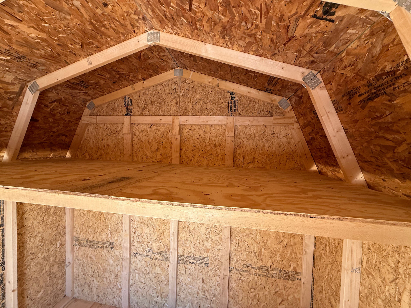 10x10 10' Painted Pro Series - Cedar Springs Lot
