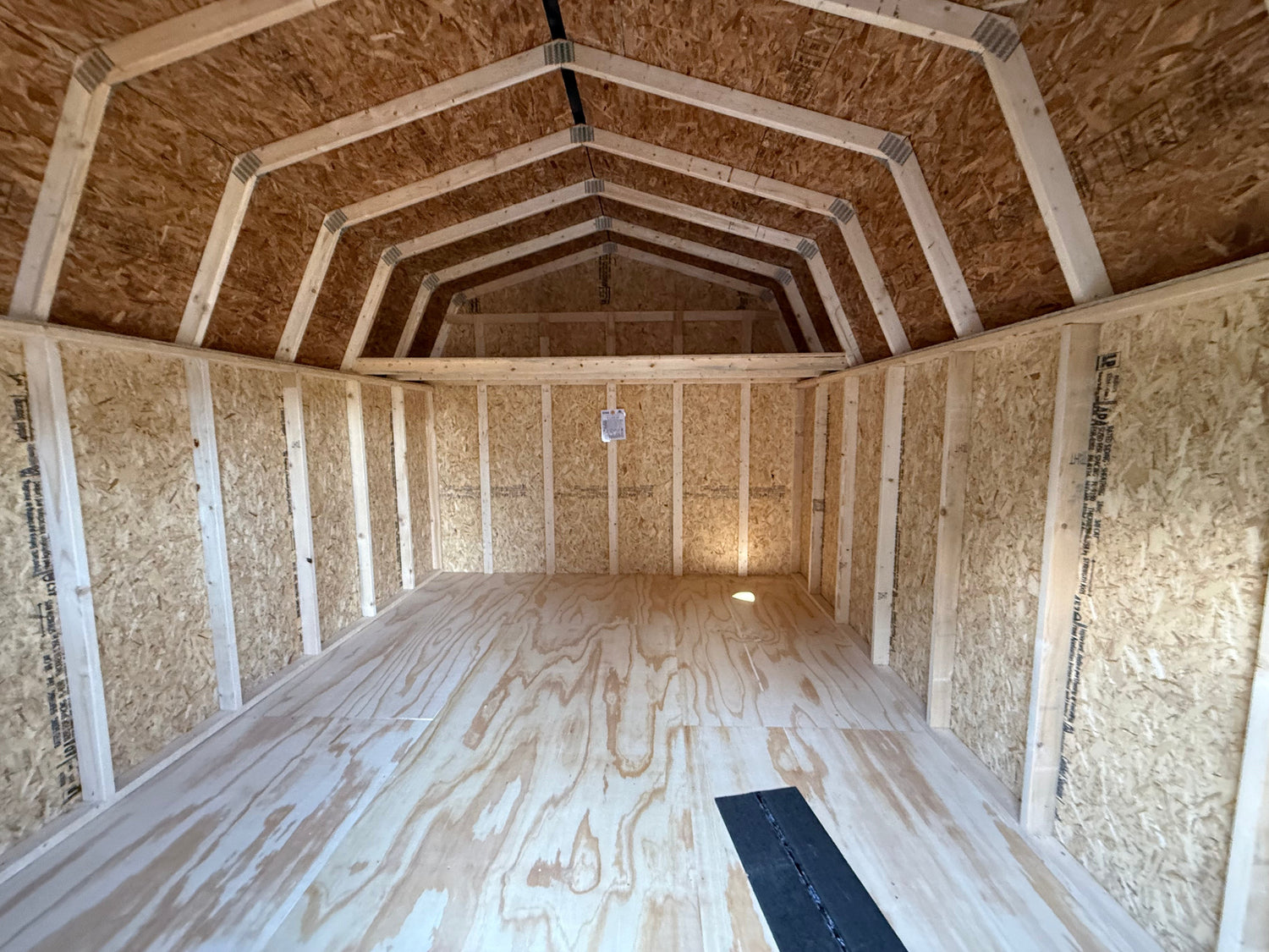 12x16 10' Painted Pro Series - Ionia, MI