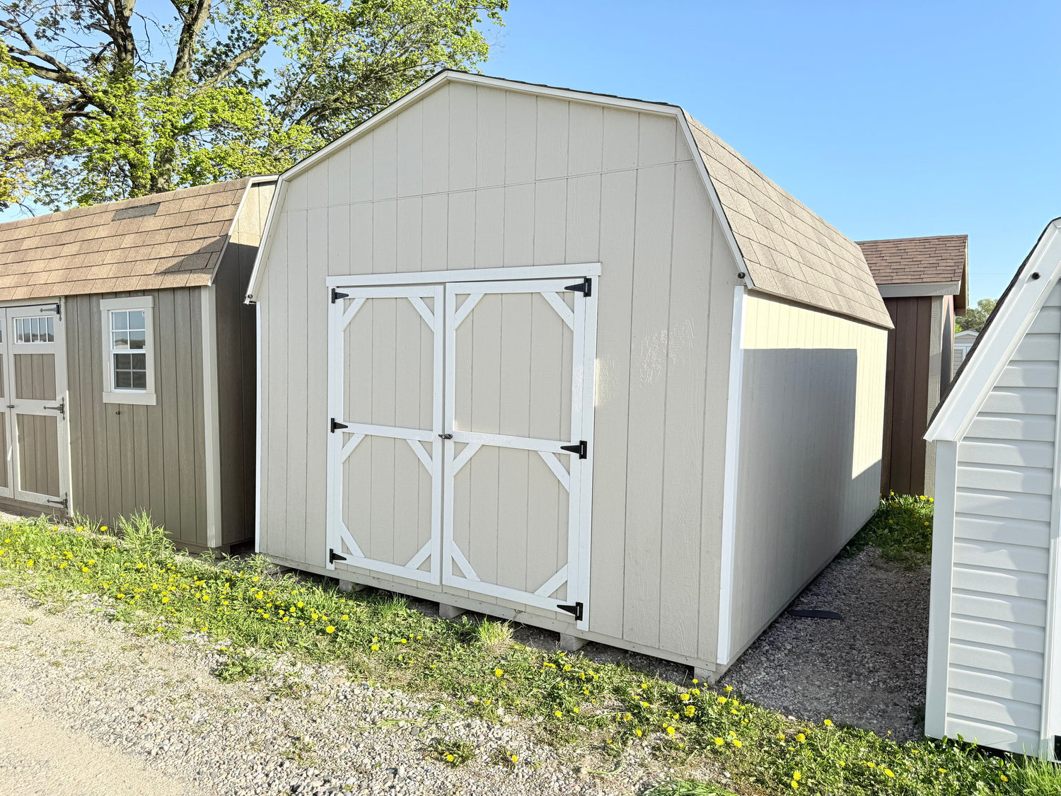 12x16 10' Painted Pro Series - Ionia, MI