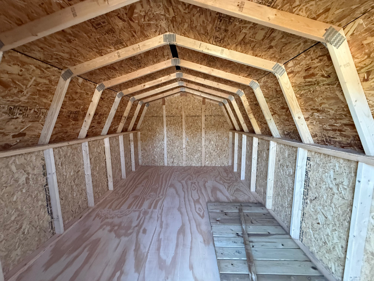 10x16 8' Painted Pro Series -