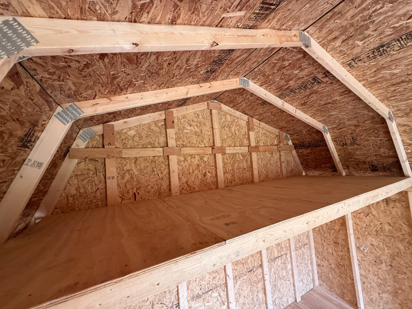 12x16 10' Painted Pro Series - QP1090