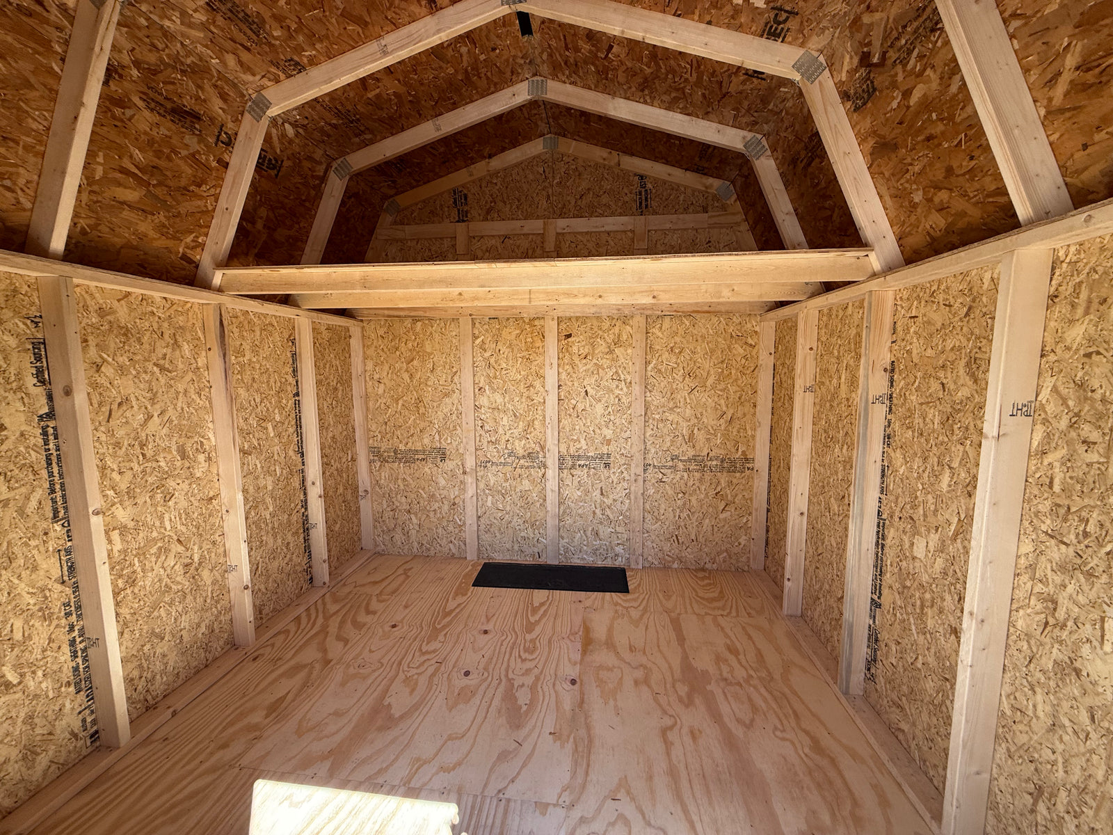 10x10 10' Painted Pro Series - Cedar Springs Lot
