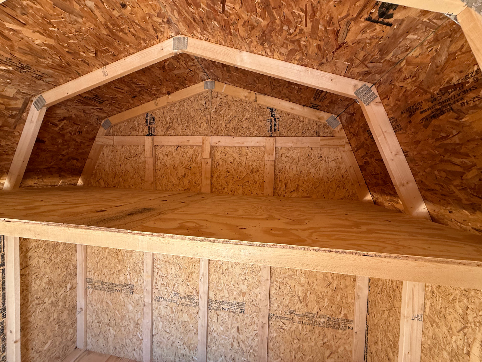 10x10 10' Painted Pro Series - Cedar Springs Lot