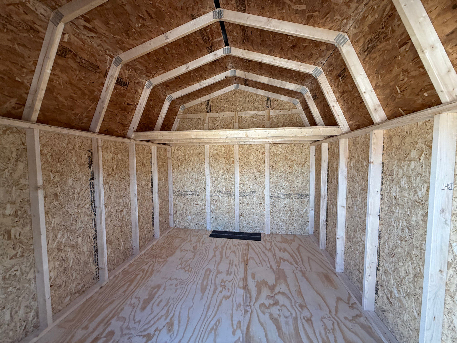 10x12 10' Painted Pro Series - Cedar Springs Lot - QP1300