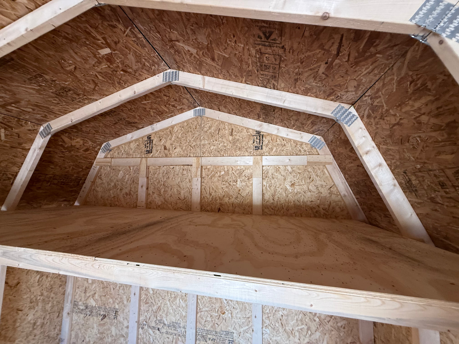 10x14 10' Painted Pro Series - Cedar Springs Lot